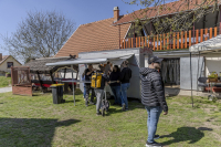 Húsvéti barangolások 2026 képekben