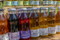 Húsvéti barangolások 2026 képekben