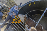 Húsvéti barangolások 2026 képekben