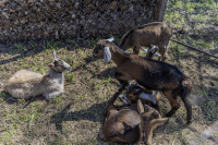 Húsvéti barangolások 2026 képekben
