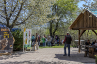 Húsvéti barangolások 2026 képekben