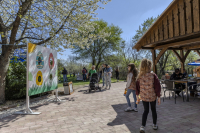 Húsvéti barangolások 2026 képekben