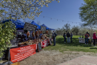 Húsvéti barangolások 2026 képekben