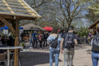 Húsvéti barangolások 2026 képekben