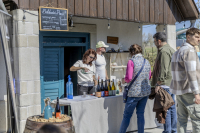 Húsvéti barangolások 2026 képekben