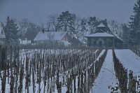 A VENDÉGLÁTÁST KOMOLYAN GONDOLJÁK