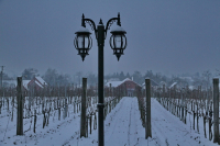 A VENDÉGLÁTÁST KOMOLYAN GONDOLJÁK