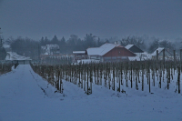 A VENDÉGLÁTÁST KOMOLYAN GONDOLJÁK