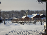 A VENDÉGLÁTÁST KOMOLYAN GONDOLJÁK