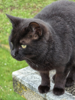 Pincefalu séta nagypénteken