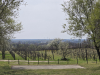 Pincefalu séta nagypénteken