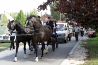  „Akkor szüret!” - a Strázsán és környékszerte