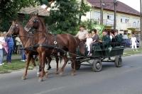  „Akkor szüret!” - a Strázsán és környékszerte