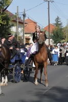 Szüret és a szüreti mulatságok