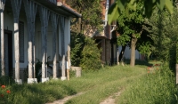 Kezdetek, KultPince 2010-ben