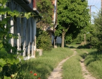 Kezdetek, KultPince 2010-ben