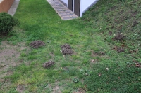 Őszi hangulat a Monori Pincefaluban