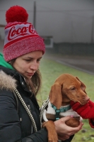 Bejglilejáró túra 2015 december 27