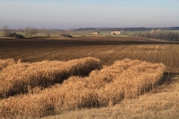 Bejglilejáró túra 2017