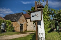 Ismét csapatépítő csámborgás a pincefaluban