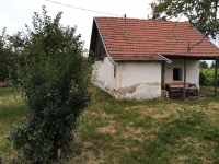 Eladó szőlő és pince