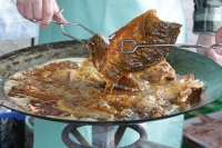 Jótékonysági főzés a Szüreti Sokadalom napján
