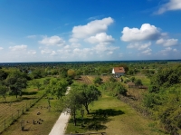 Tavasz a Strázsahegyen