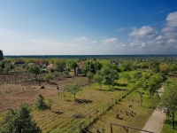 Tavasz a Strázsahegyen
