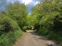 Tavasz a Strázsahegyen