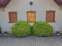 Tavasz a Strázsahegyen