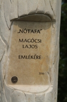 Megújuló és fejlődő Bacchus tér