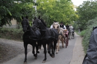 Legyen Neked is Pincéd a Monori Pincefaluban!