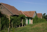 Monor Cellar Village