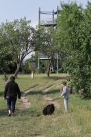 Monor, kilátó a monori Strázsa-hegyen