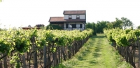 Bodor Wine House