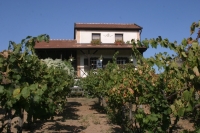 Bodor Wine House