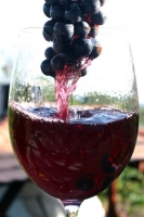 Bodor Wine House