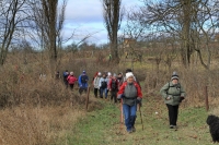 Monori Bejglilejáró túra 2016, pincétől -  pincékig