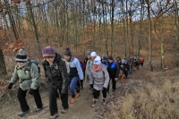 Monori Bejglilejáró túra 2016, pincétől -  pincékig