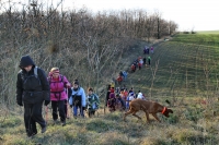 Monori Bejglilejáró túra 2016, pincétől -  pincékig