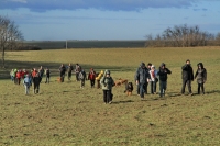 Monori Bejglilejáró túra 2016, pincétől -  pincékig