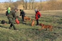 Monori Bejglilejáró túra 2016, pincétől -  pincékig