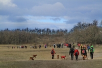 Monori Bejglilejáró túra 2016, pincétől -  pincékig