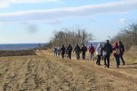 Monori Bejglilejáró túra 2016, pincétől -  pincékig