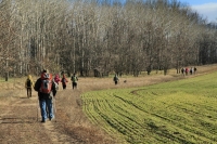 Monori Bejglilejáró túra 2016, pincétől -  pincékig