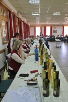 A szerbiai Bácsfeketehegyen már kóstolták az első monori közösségi bort