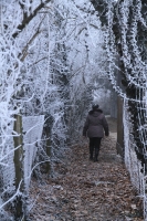 Téli séta a Strázsahegyen 2017 január 01